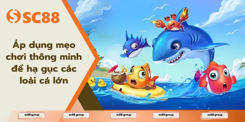 Áp dụng mẹo chơi thông minh để hạ gục các loài cá lớn