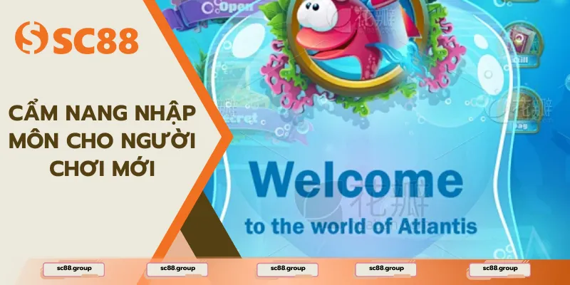 Cẩm nang nhập môn cho người chơi mới